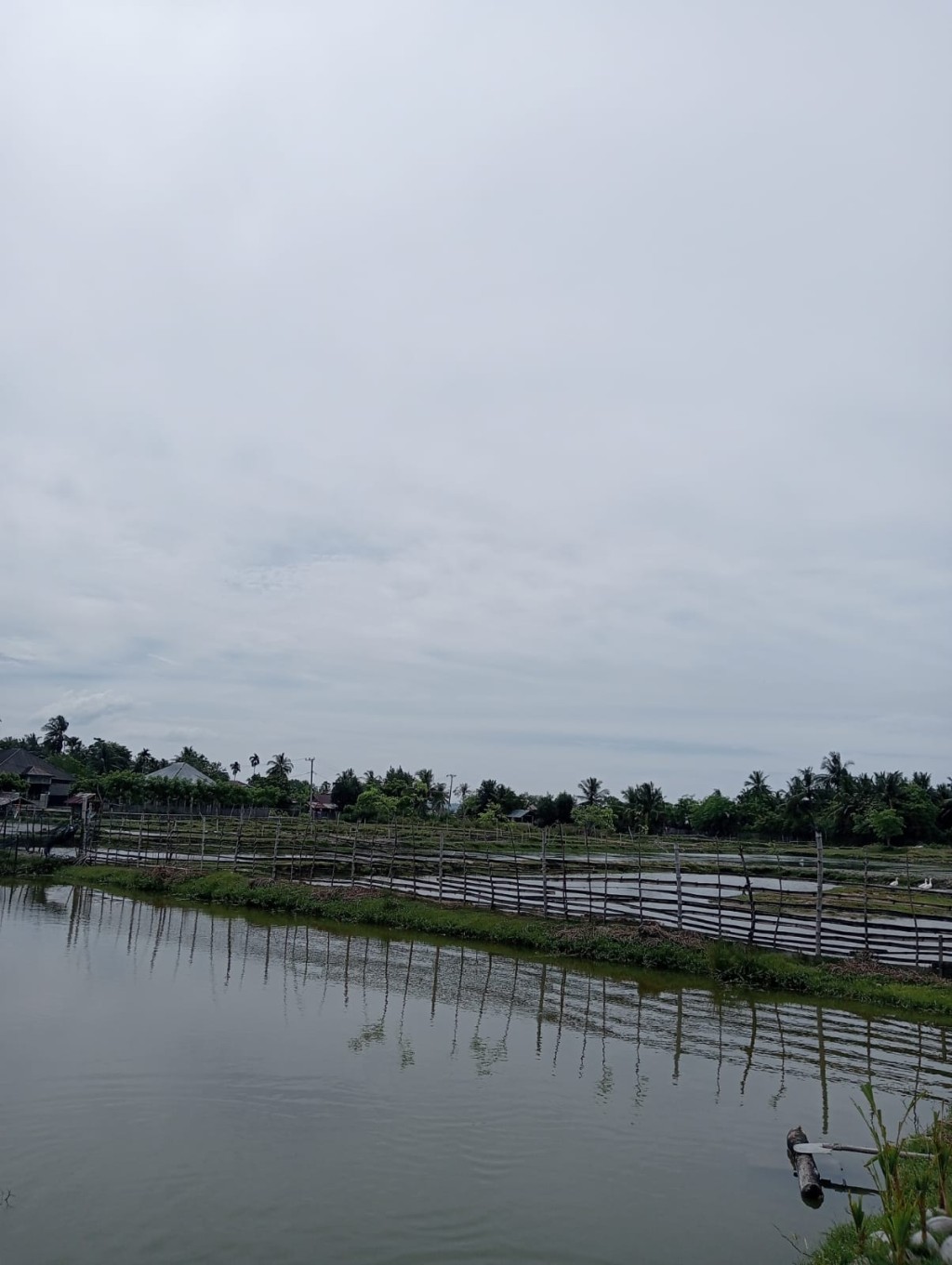 Potensi Tambak Di Gampong Dayah Baroh Kecamatan Batee Kabupaten Pidie
